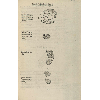 Cadmiae botrytis duae differentiae © KBR - URL